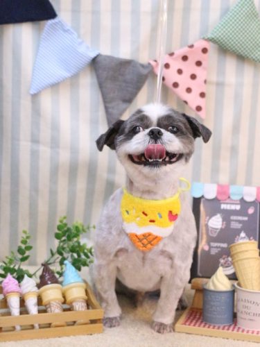 20250509大吉くん